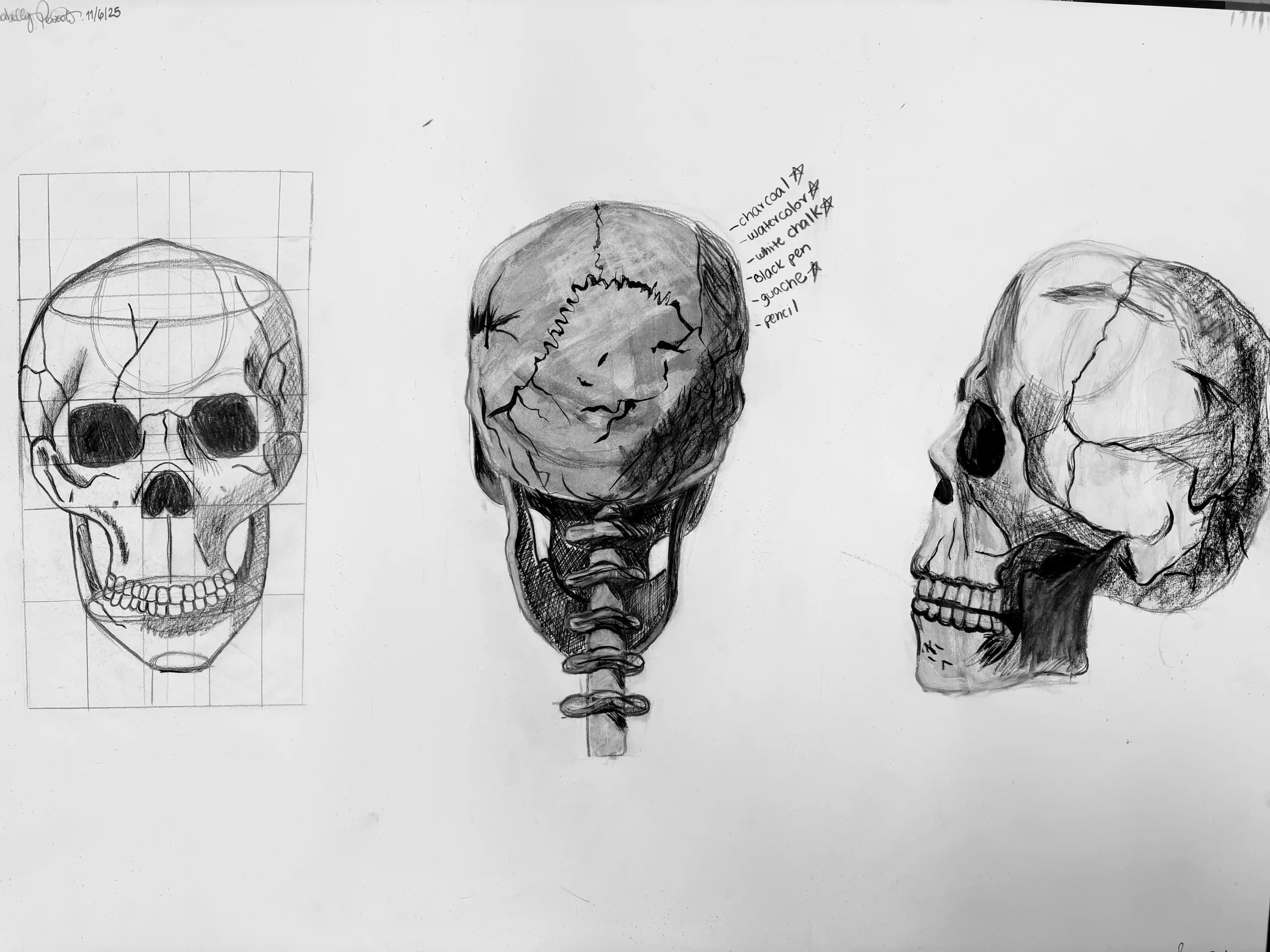 Plate 08